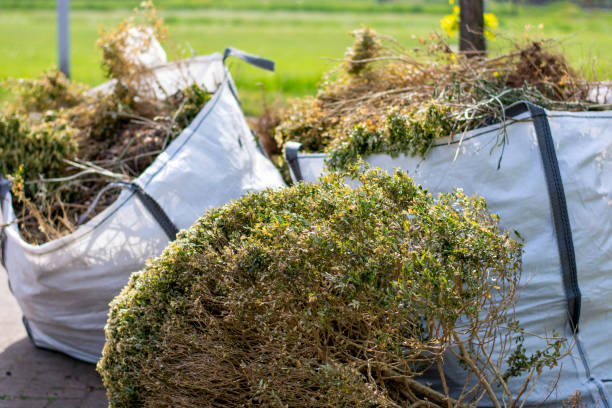 Best Furniture Removal Near Me  in El Rancho, NM